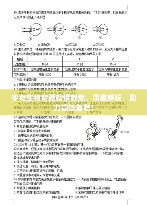 中考生物专题精讲教案，深度解析，助力高效备考！