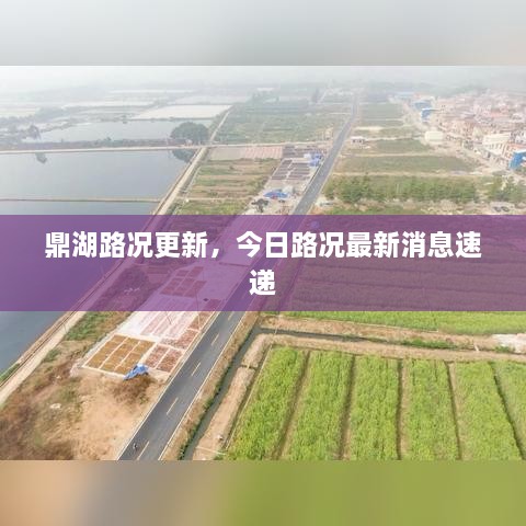 鼎湖路况更新，今日路况最新消息速递