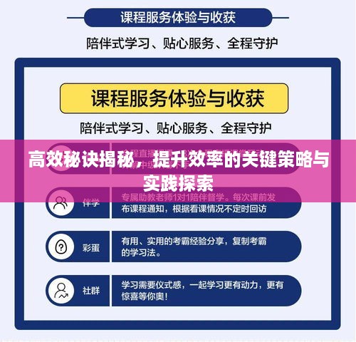 高效秘诀揭秘，提升效率的关键策略与实践探索