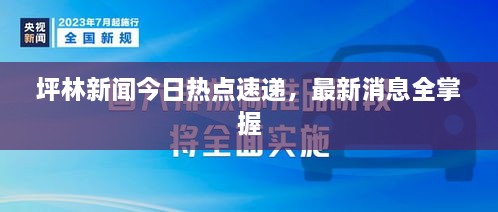 坪林新闻今日热点速递，最新消息全掌握