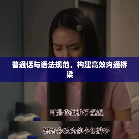 普通话与语法规范，构建高效沟通桥梁