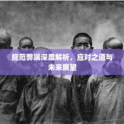规范弊端深度解析，应对之道与未来展望
