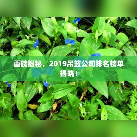 重磅揭秘，2019吊篮公司排名榜单揭晓！