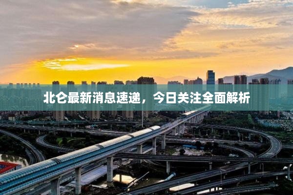 北仑最新消息速递，今日关注全面解析