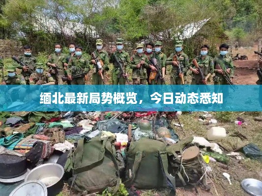 缅北最新局势概览，今日动态悉知