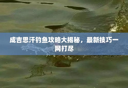 成吉思汗钓鱼攻略大揭秘，最新技巧一网打尽