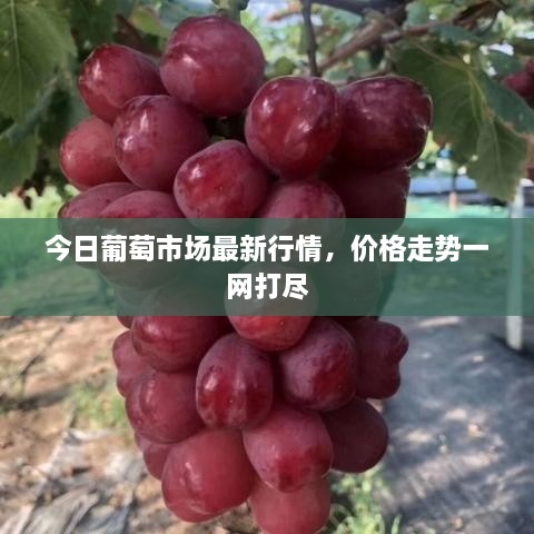 联系我们 第45页