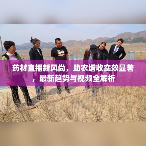 药材直播新风尚，助农增收实效显著，最新趋势与视频全解析