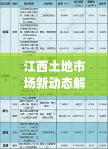 江西土地市场新动态解读，最新土地出租视频全解析