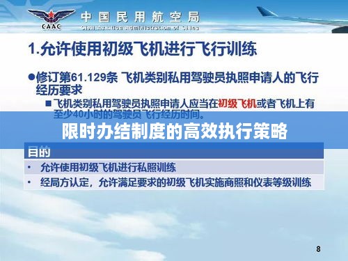 限时办结制度的高效执行策略