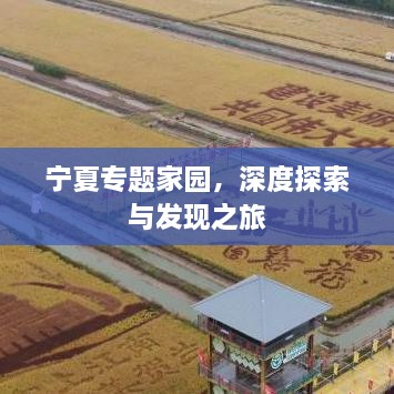 宁夏专题家园，深度探索与发现之旅