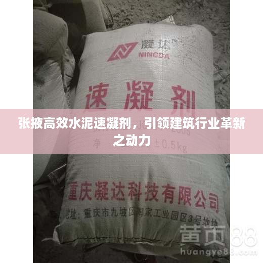 张掖高效水泥速凝剂，引领建筑行业革新之动力