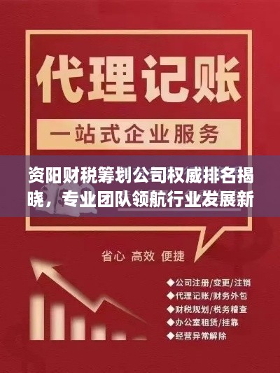 资阳财税筹划公司权威排名揭晓，专业团队领航行业发展新篇章