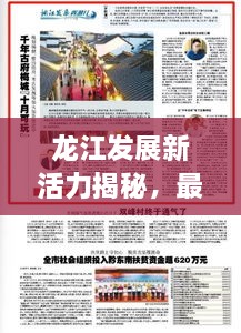 龙江发展新活力揭秘，最新通报展现地区崭新面貌