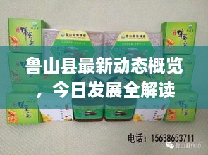 鲁山县最新动态概览，今日发展全解读