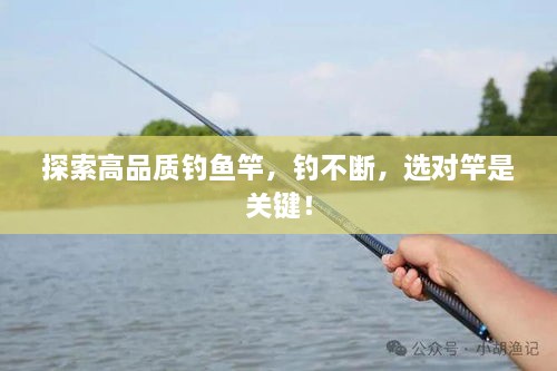 探索高品质钓鱼竿，钓不断，选对竿是关键！