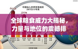 全球粮食威力大揭秘，力量与地位的震撼排名