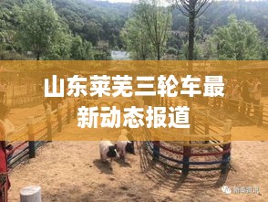 山东莱芜三轮车最新动态报道