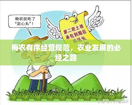 梅农有序经营规范，农业发展的必经之路