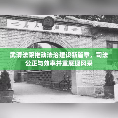 武清法院推动法治建设新篇章，司法公正与效率并重展现风采