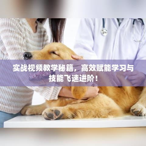 实战视频教学秘籍，高效赋能学习与技能飞速进阶！