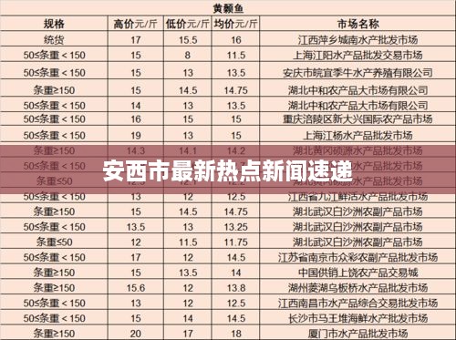 安西市最新热点新闻速递