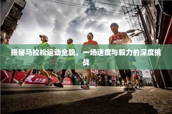 揭秘马拉松运动全貌，一场速度与毅力的深度挑战