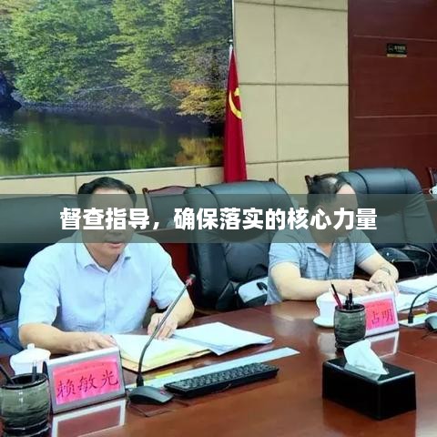 督查指导，确保落实的核心力量