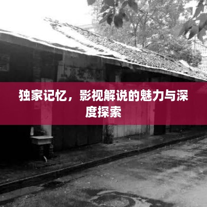 独家记忆，影视解说的魅力与深度探索