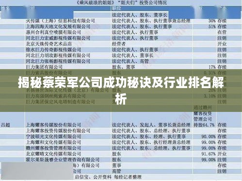 揭秘蔡荣军公司成功秘诀及行业排名解析