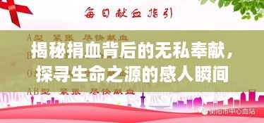 揭秘捐血背后的无私奉献，探寻生命之源的感人瞬间