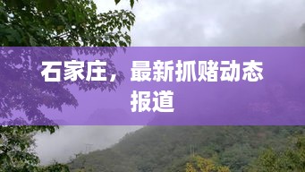 石家庄，最新抓赌动态报道