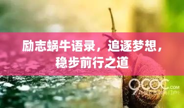 励志蜗牛语录，追逐梦想，稳步前行之道