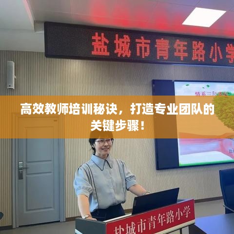 高效教师培训秘诀，打造专业团队的关键步骤！
