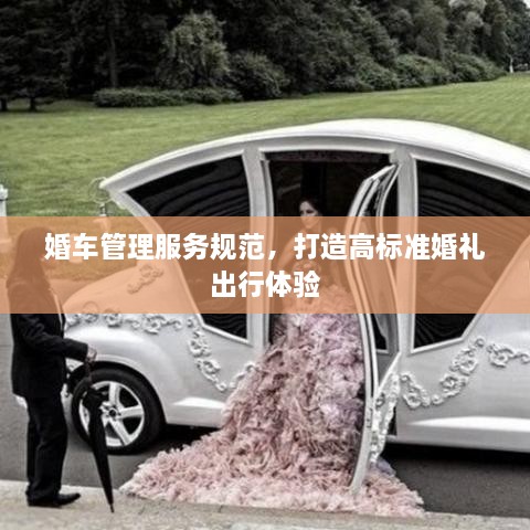 婚车管理服务规范，打造高标准婚礼出行体验