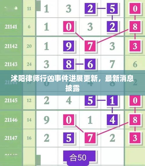 沭阳律师行凶事件进展更新，最新消息披露