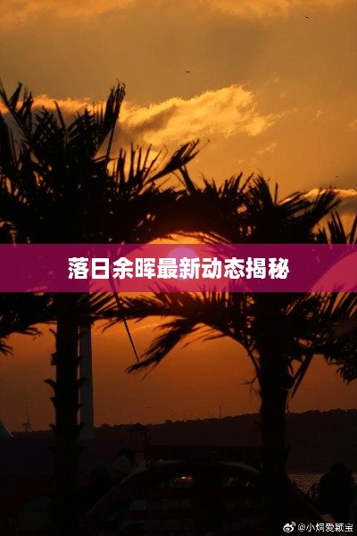 落日余晖最新动态揭秘
