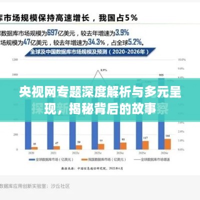 央视网专题深度解析与多元呈现，揭秘背后的故事