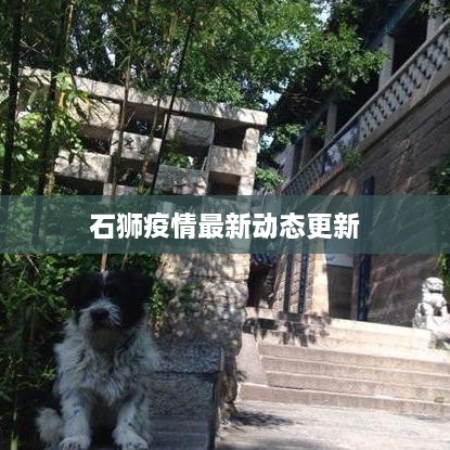 石狮疫情最新动态更新