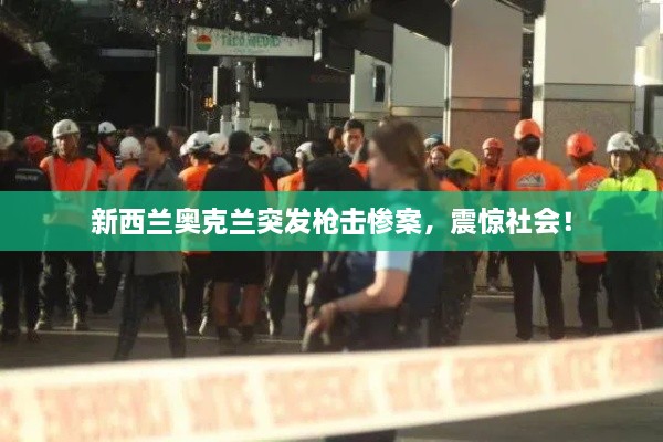 新西兰奥克兰突发枪击惨案，震惊社会！