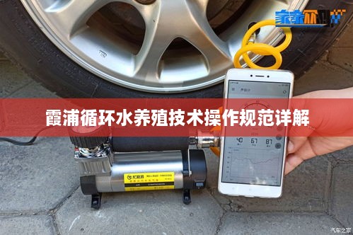 霞浦循环水养殖技术操作规范详解
