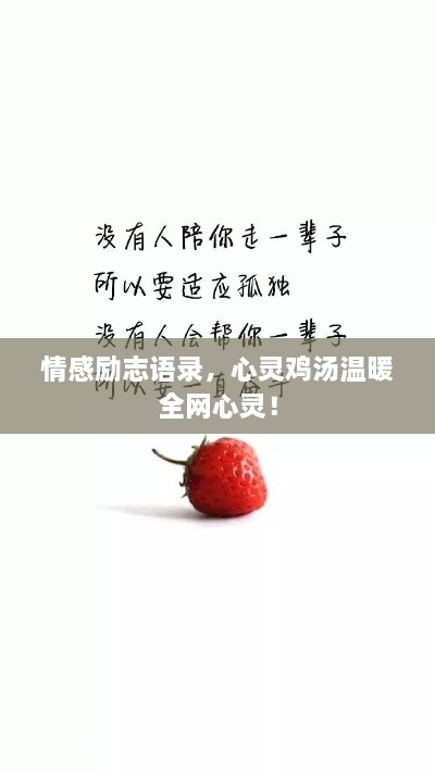 情感励志语录，心灵鸡汤温暖全网心灵！