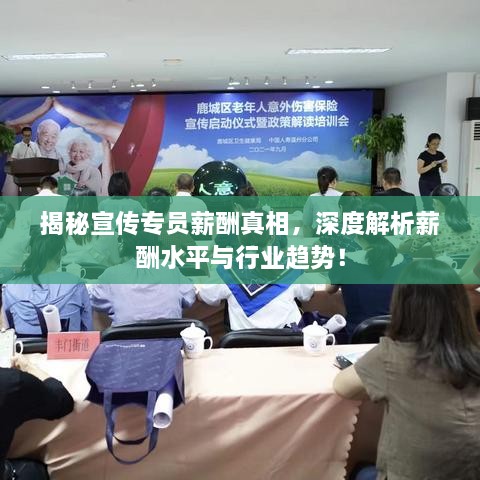 揭秘宣传专员薪酬真相，深度解析薪酬水平与行业趋势！