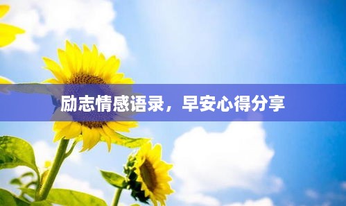 励志情感语录，早安心得分享