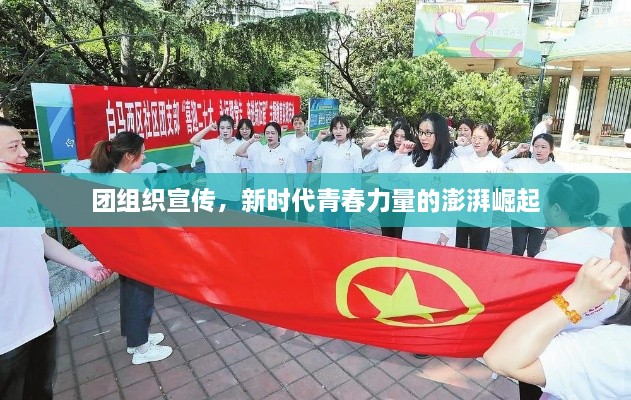团组织宣传，新时代青春力量的澎湃崛起