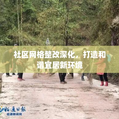 社区网格整改深化，打造和谐宜居新环境