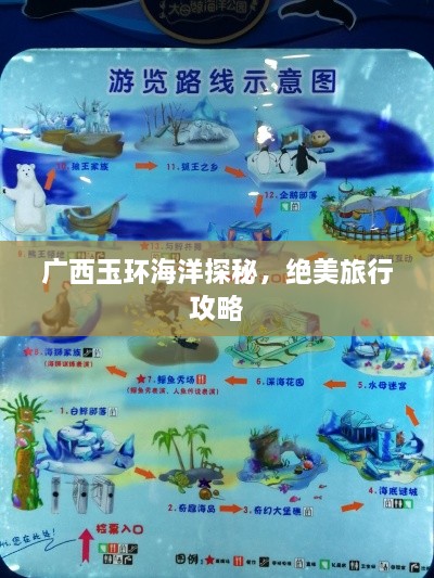 广西玉环海洋探秘，绝美旅行攻略