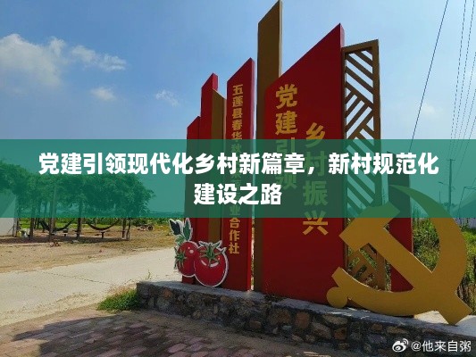 党建引领现代化乡村新篇章，新村规范化建设之路