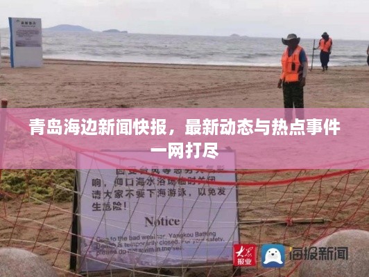 青岛海边新闻快报，最新动态与热点事件一网打尽