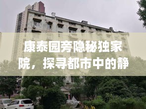 康泰园旁隐秘独家院，探寻都市中的静谧秘境